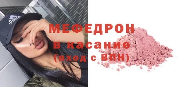 сатива Няндома