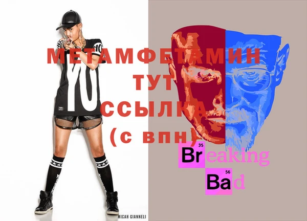 сатива Няндома