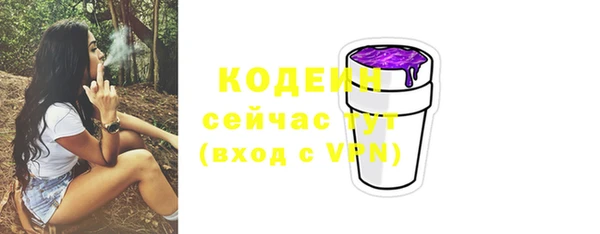 молекула духа Новодвинск
