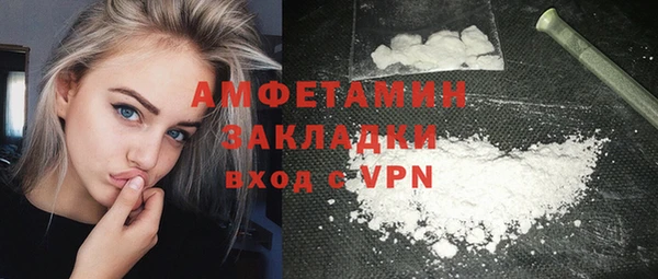 сатива Няндома