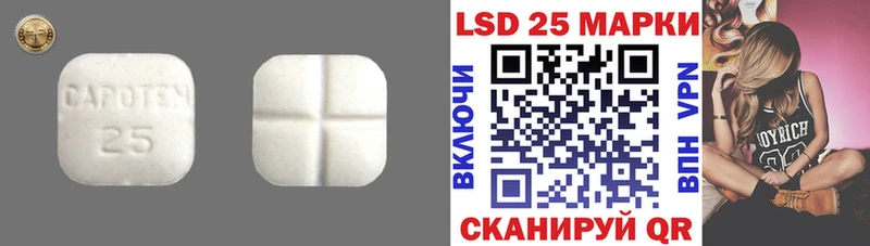Лсд 25 экстази кислота Полярный